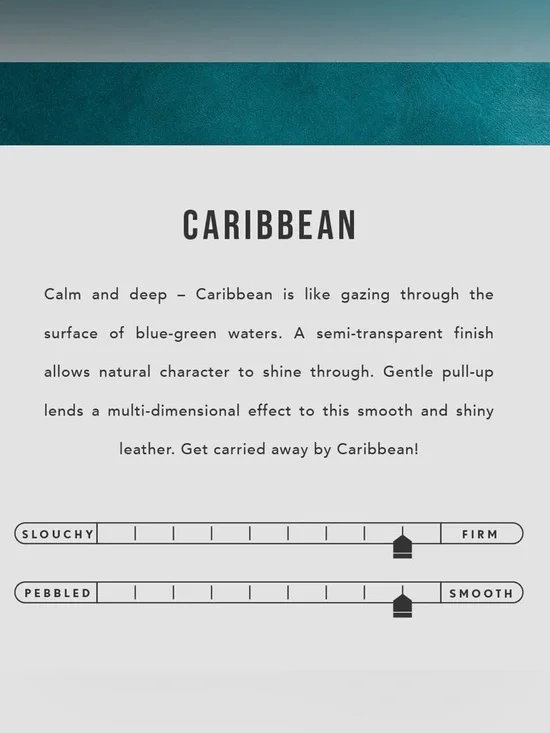 Portland Leather Caribbean Medium CB Tote - Retired 🏝️ - Picture 9 of 9